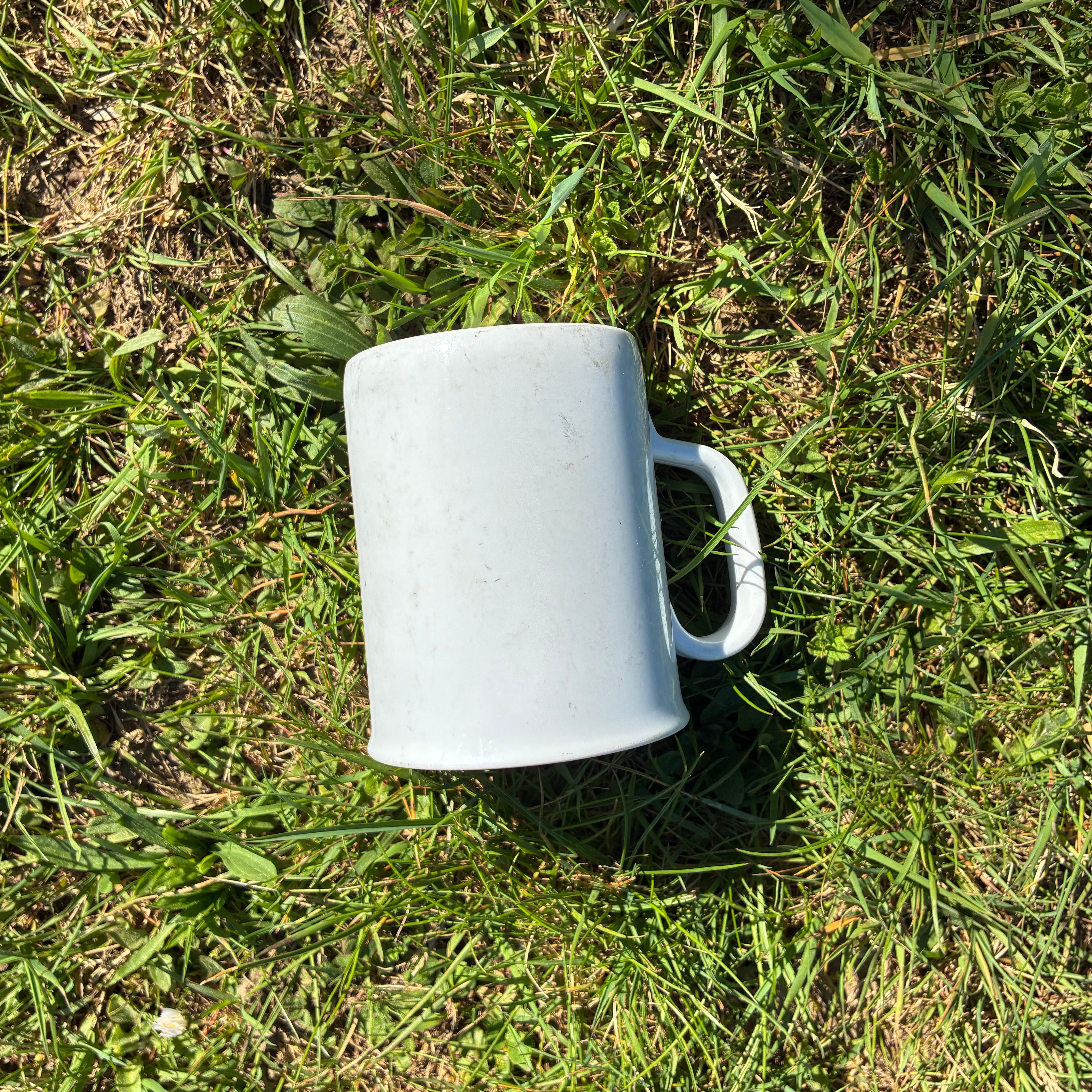 IMG_6132.jpeg