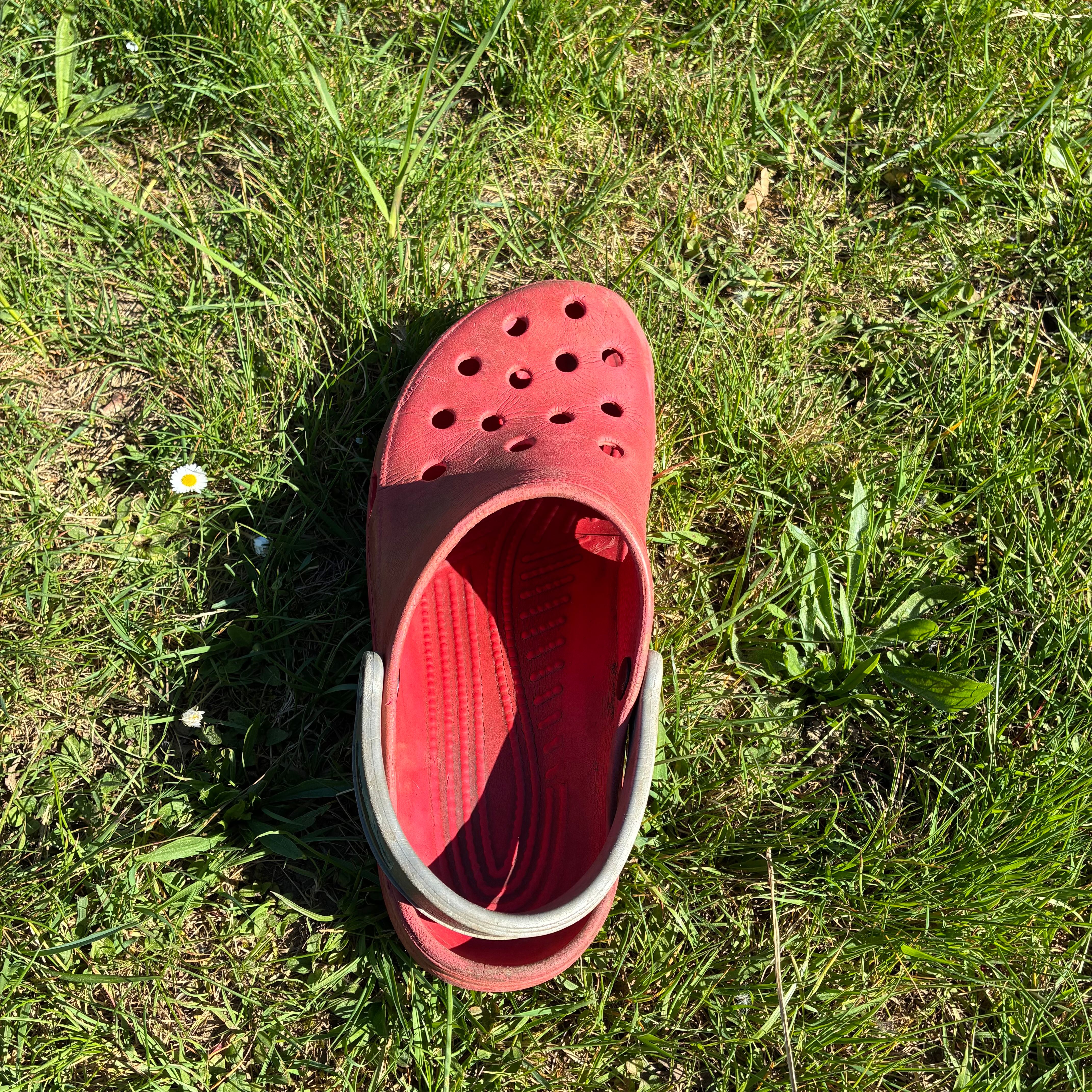 IMG_6134.jpeg