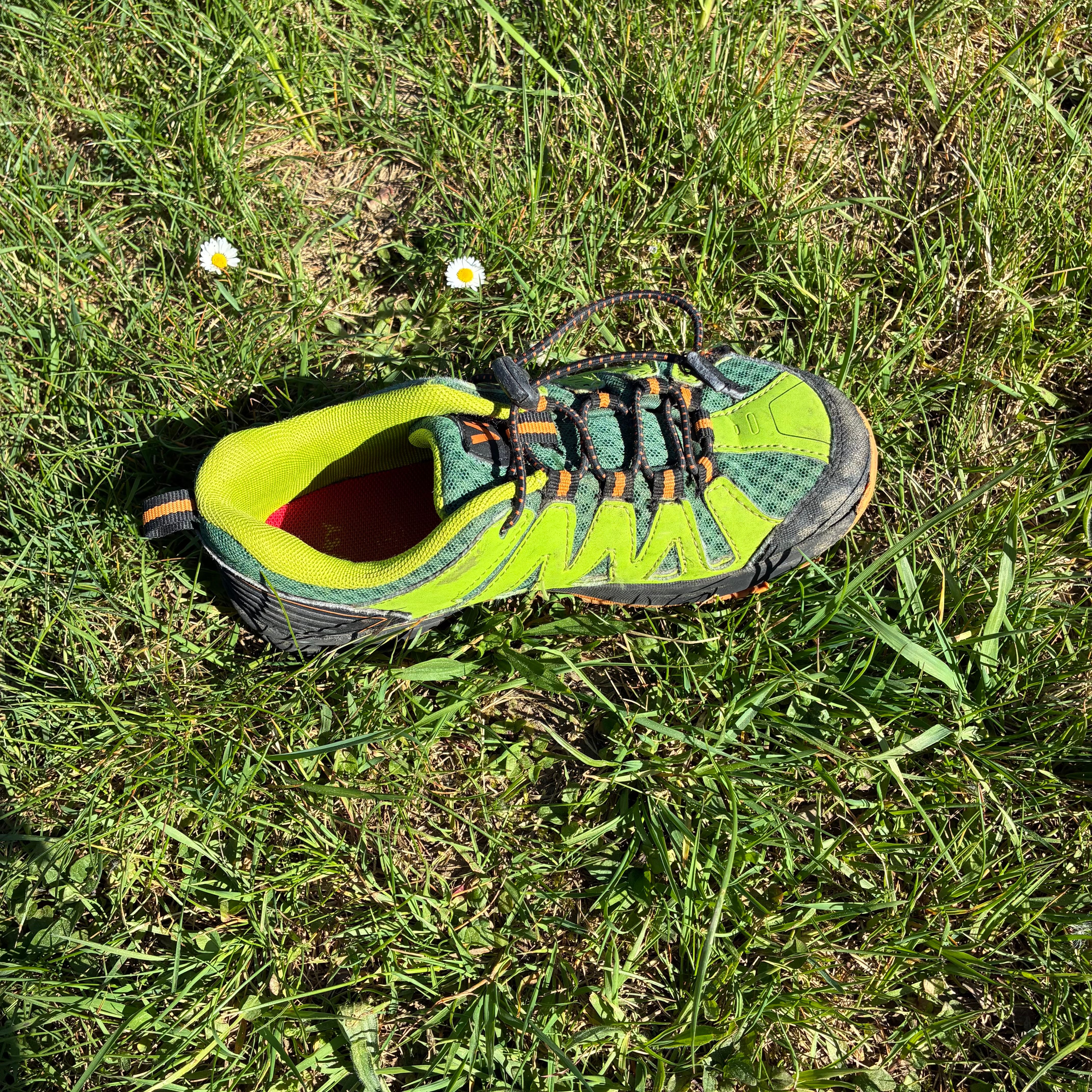 IMG_6135.jpeg