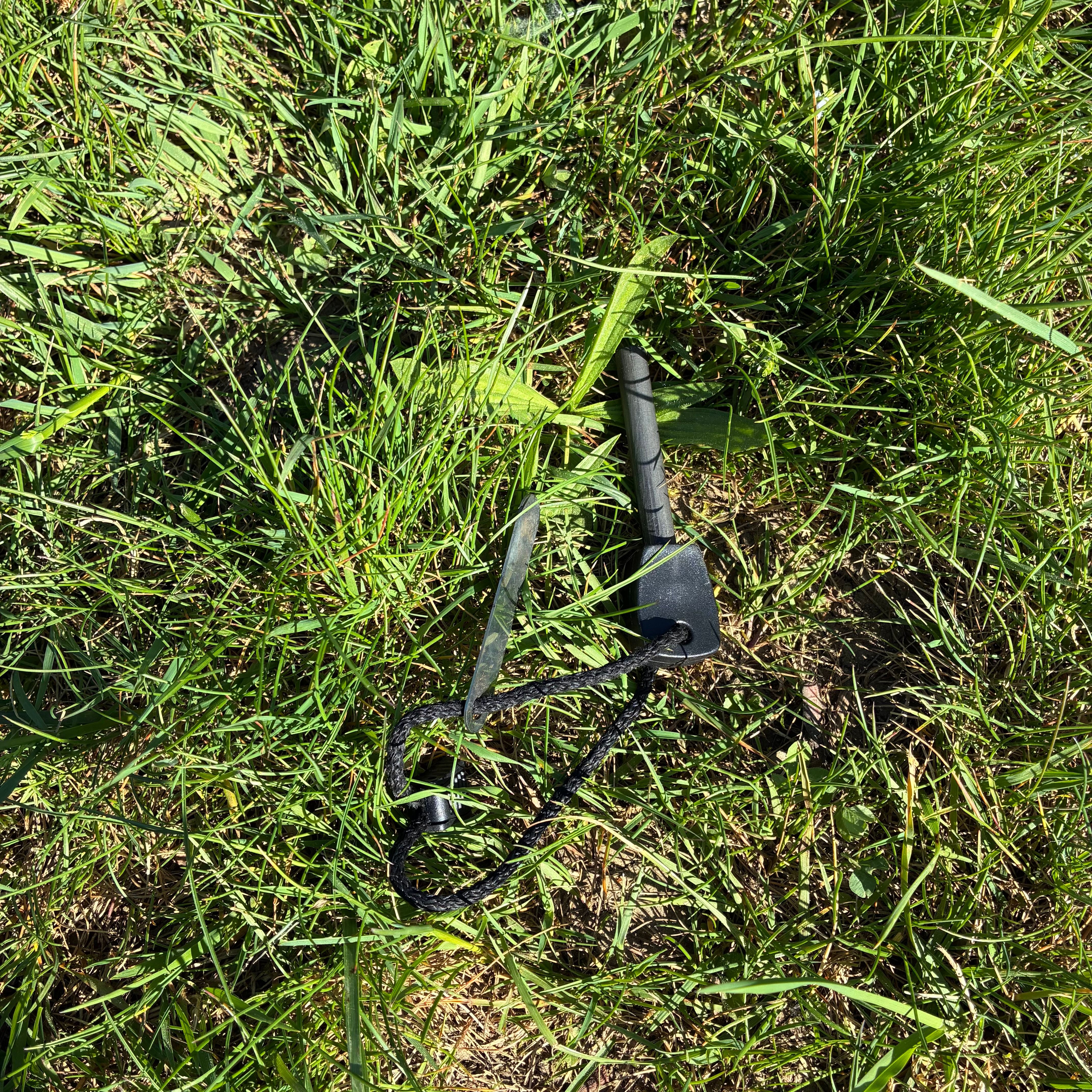 IMG_6143.jpeg